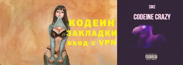 сатива Няндома