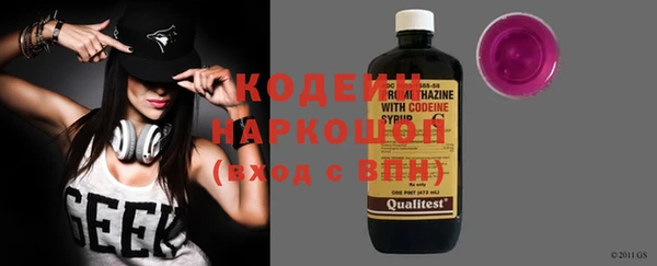 хмурый Новозыбков