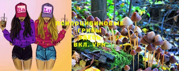 хмурый Новозыбков