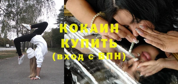 хмурый Новозыбков