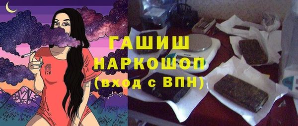 сатива Няндома