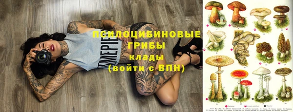 альфа пвп Нязепетровск