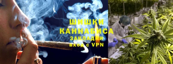 хмурый Новозыбков
