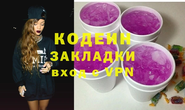 хмурый Новозыбков