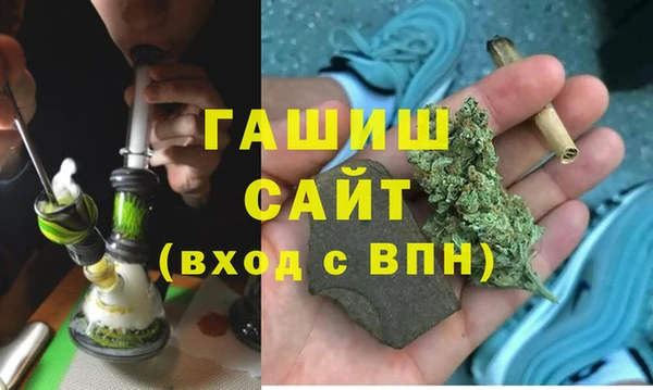 сатива Няндома
