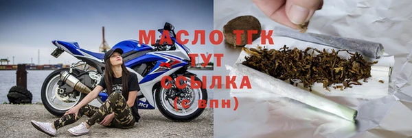 сатива Няндома