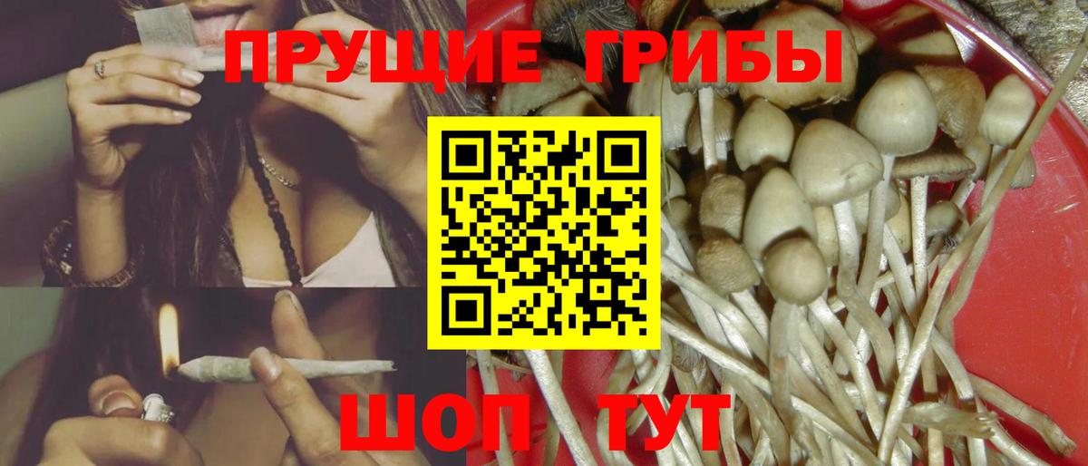 купить наркоту  Псилоцибиновые грибы ЛСД  Псилоцибиновые грибы мицелий  Вход с VPN  Зерноград 